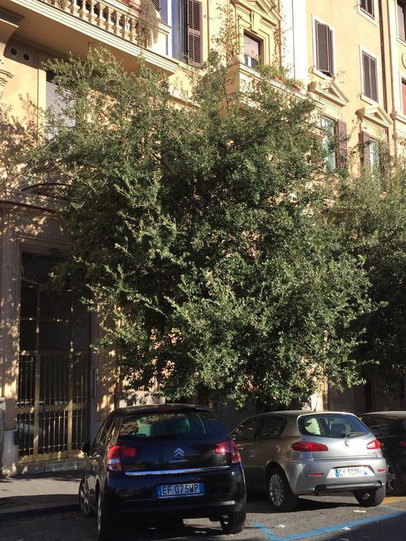 Vatican Accommodations Rom Exterior foto